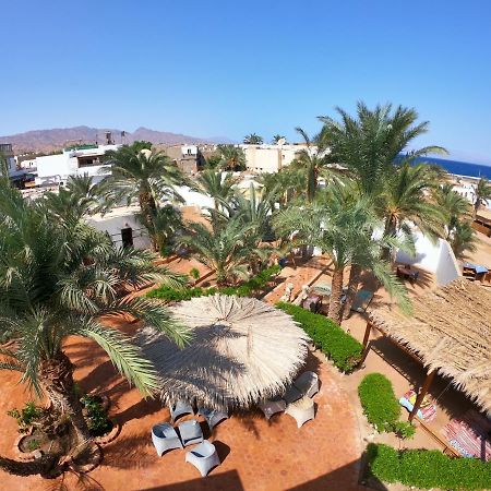 Miramar Camp Dahab Hotel Kültér fotó