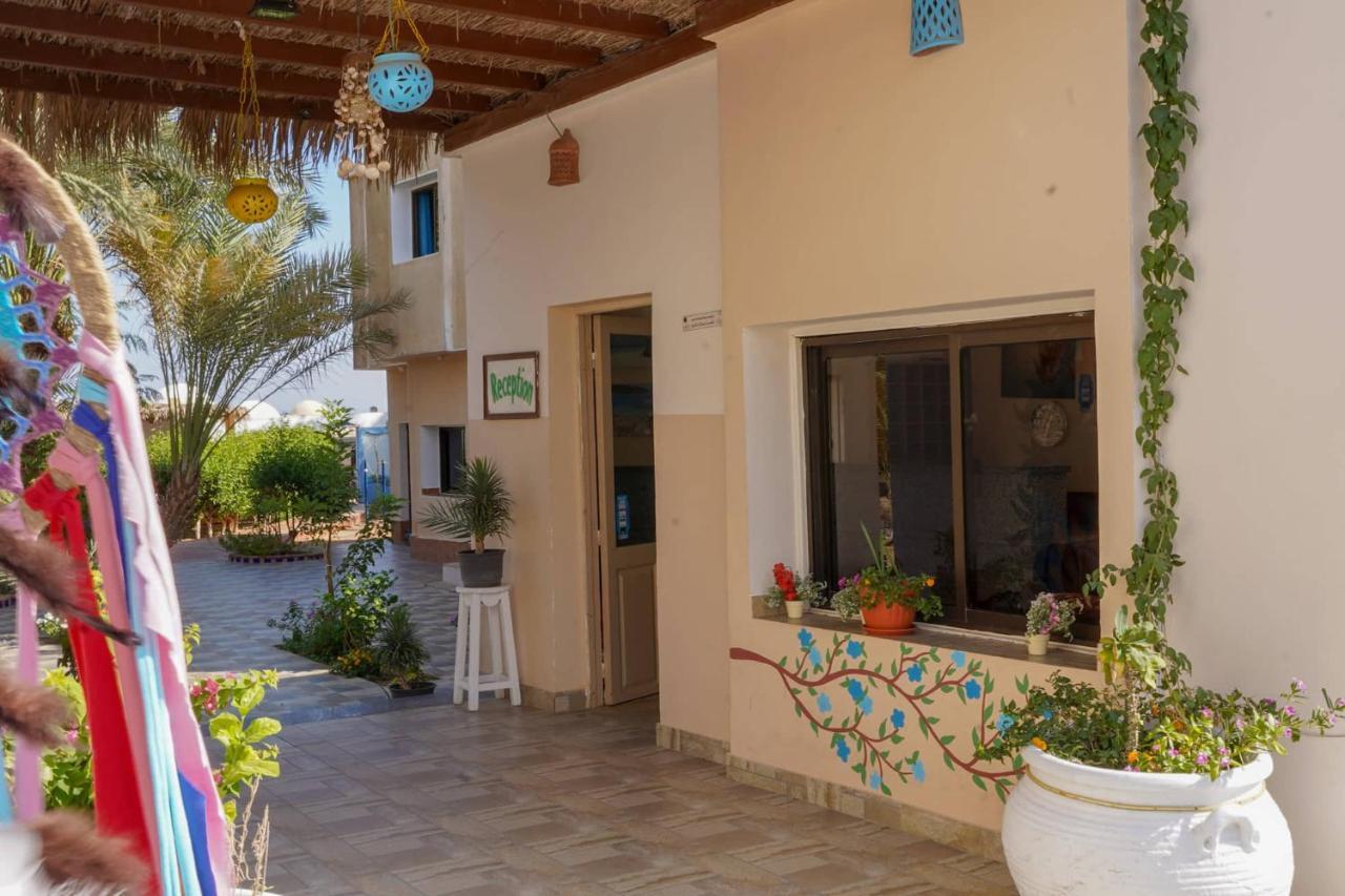 Miramar Camp Dahab Hotel Kültér fotó