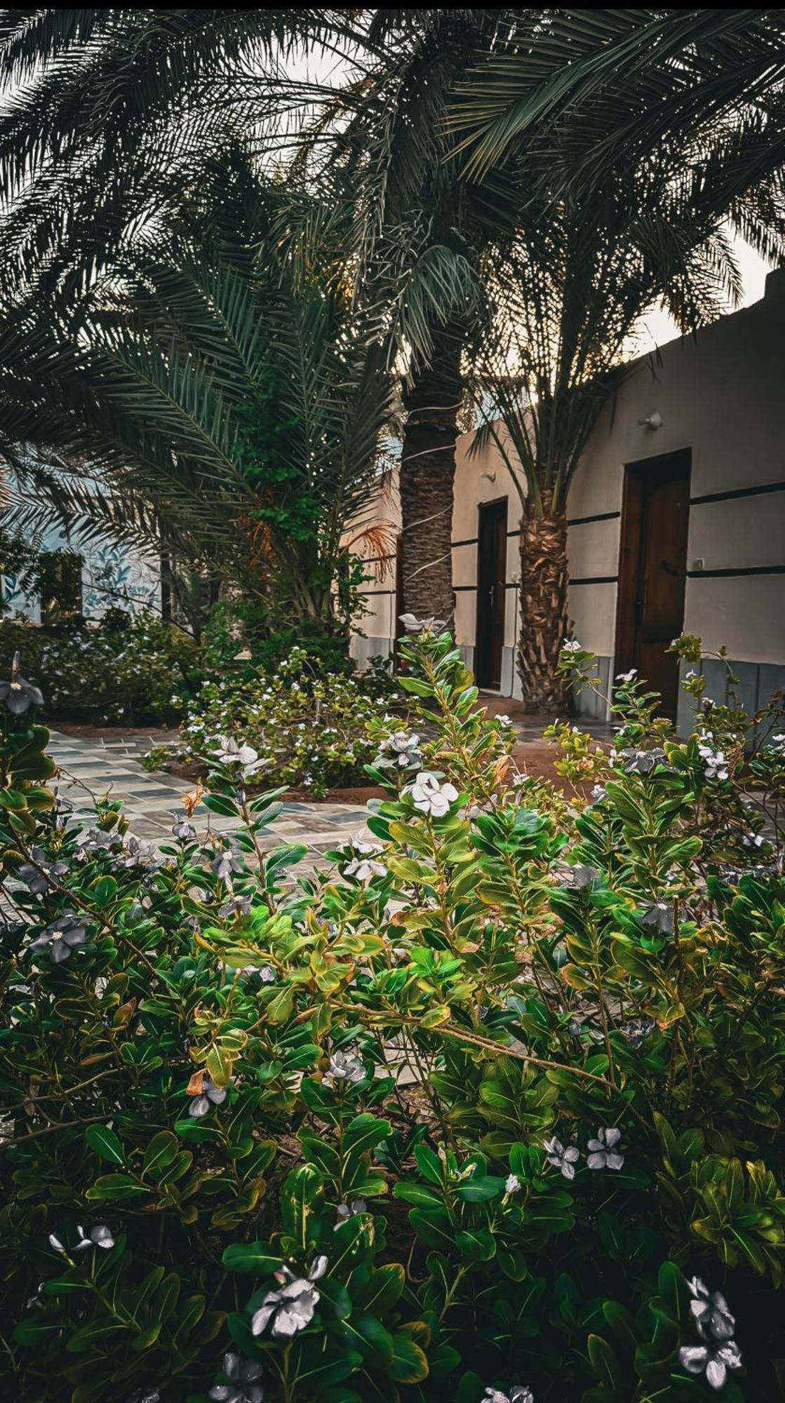 Miramar Camp Dahab Hotel Kültér fotó