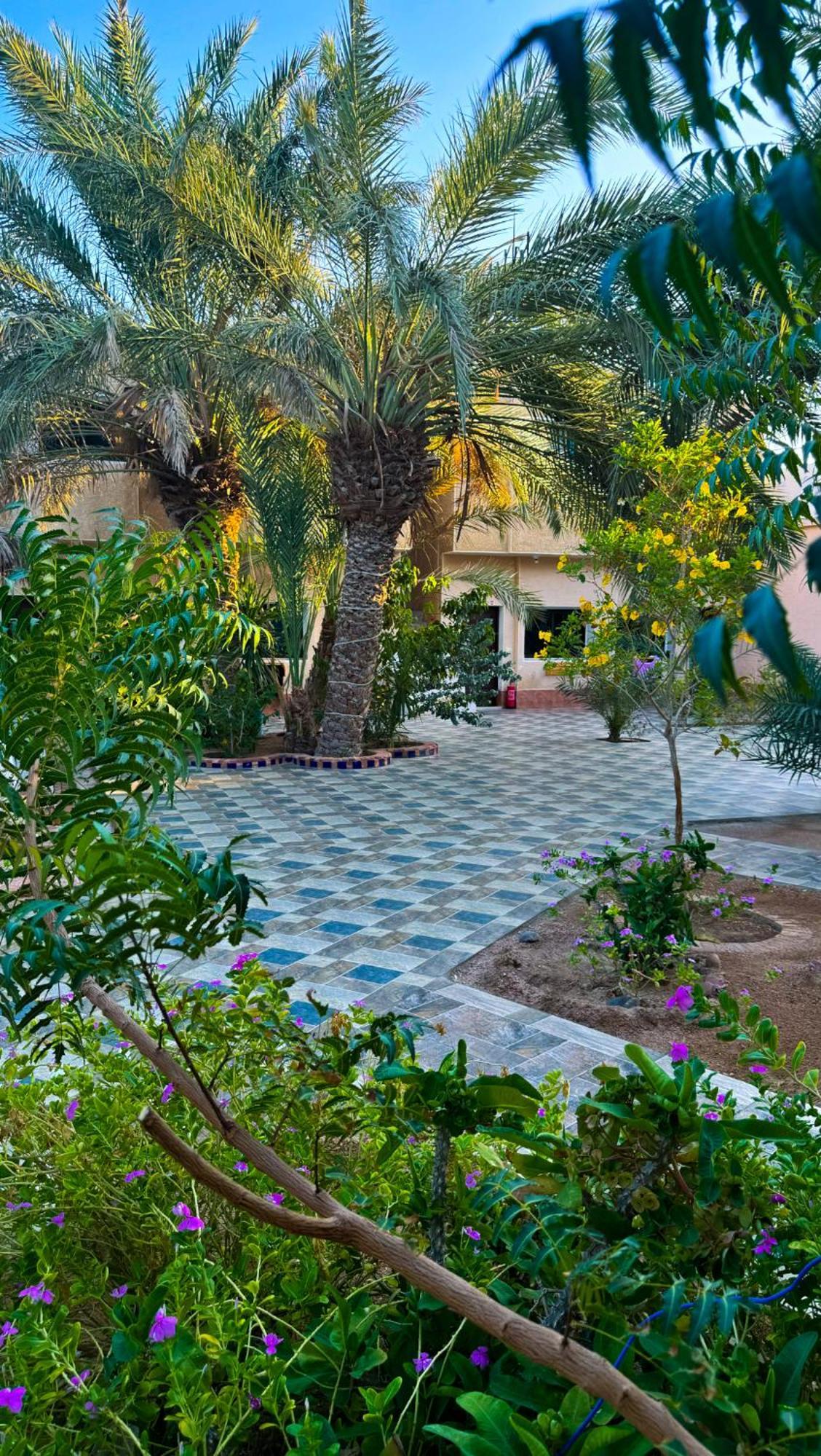 Miramar Camp Dahab Hotel Kültér fotó