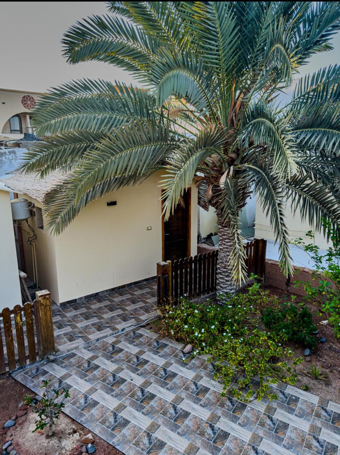 Miramar Camp Dahab Hotel Kültér fotó