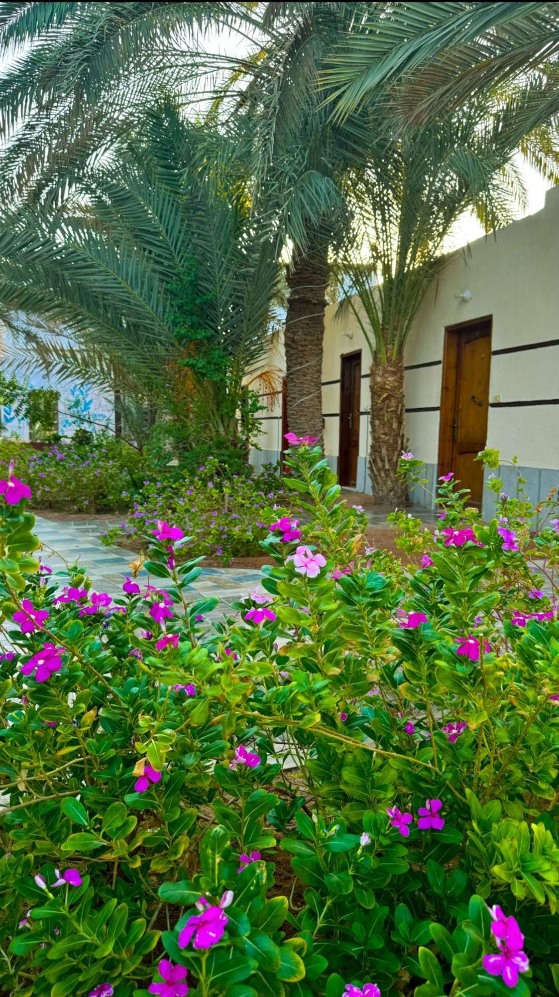 Miramar Camp Dahab Hotel Kültér fotó