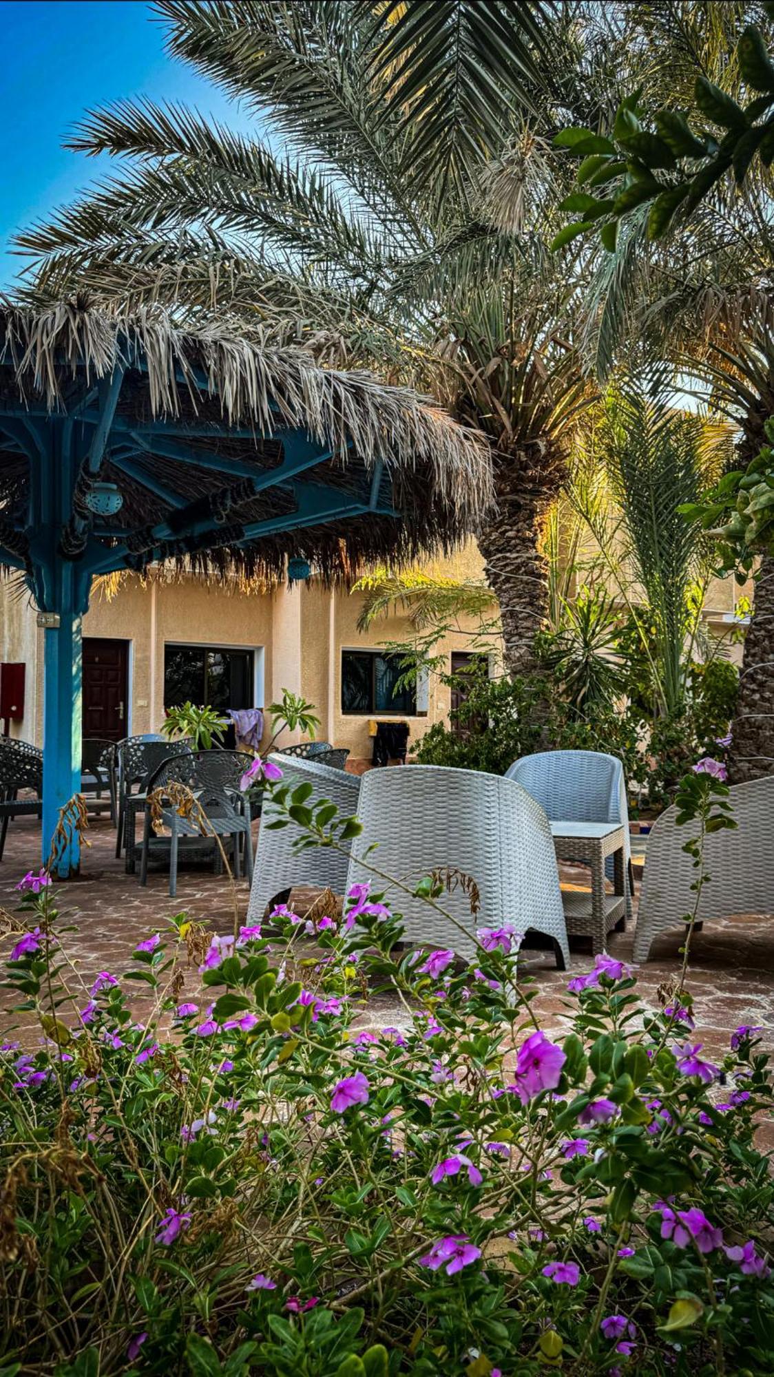 Miramar Camp Dahab Hotel Kültér fotó