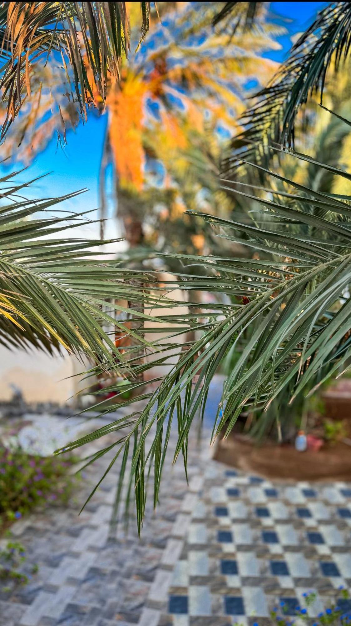 Miramar Camp Dahab Hotel Kültér fotó