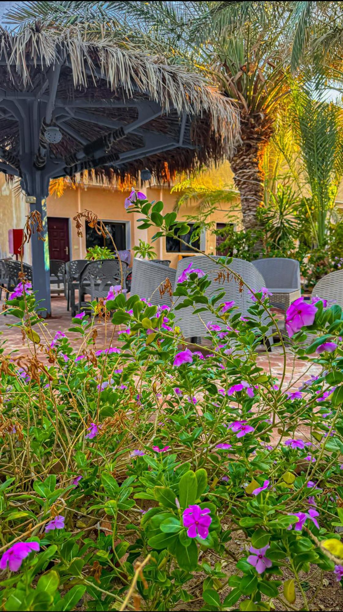 Miramar Camp Dahab Hotel Kültér fotó