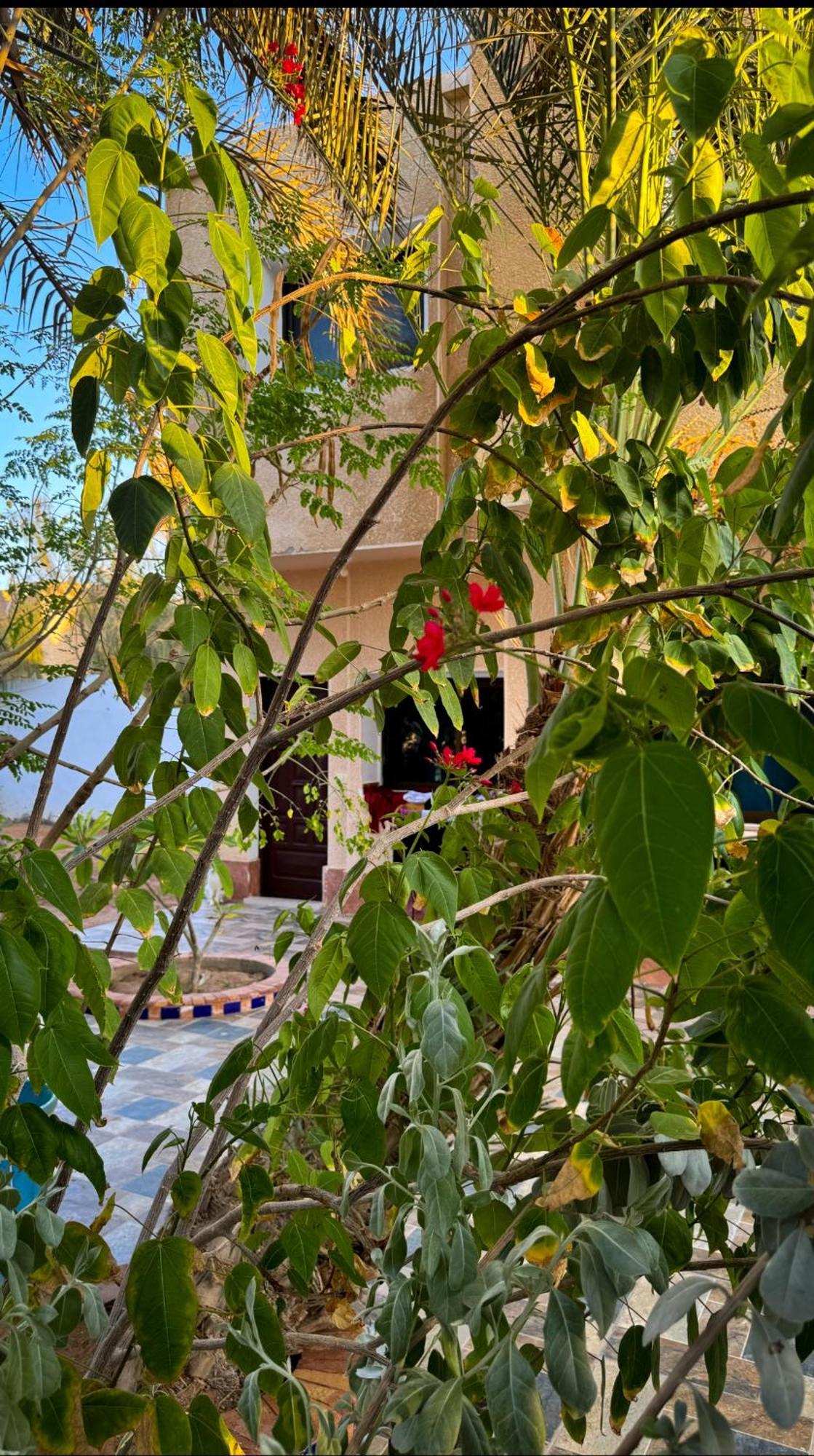 Miramar Camp Dahab Hotel Kültér fotó