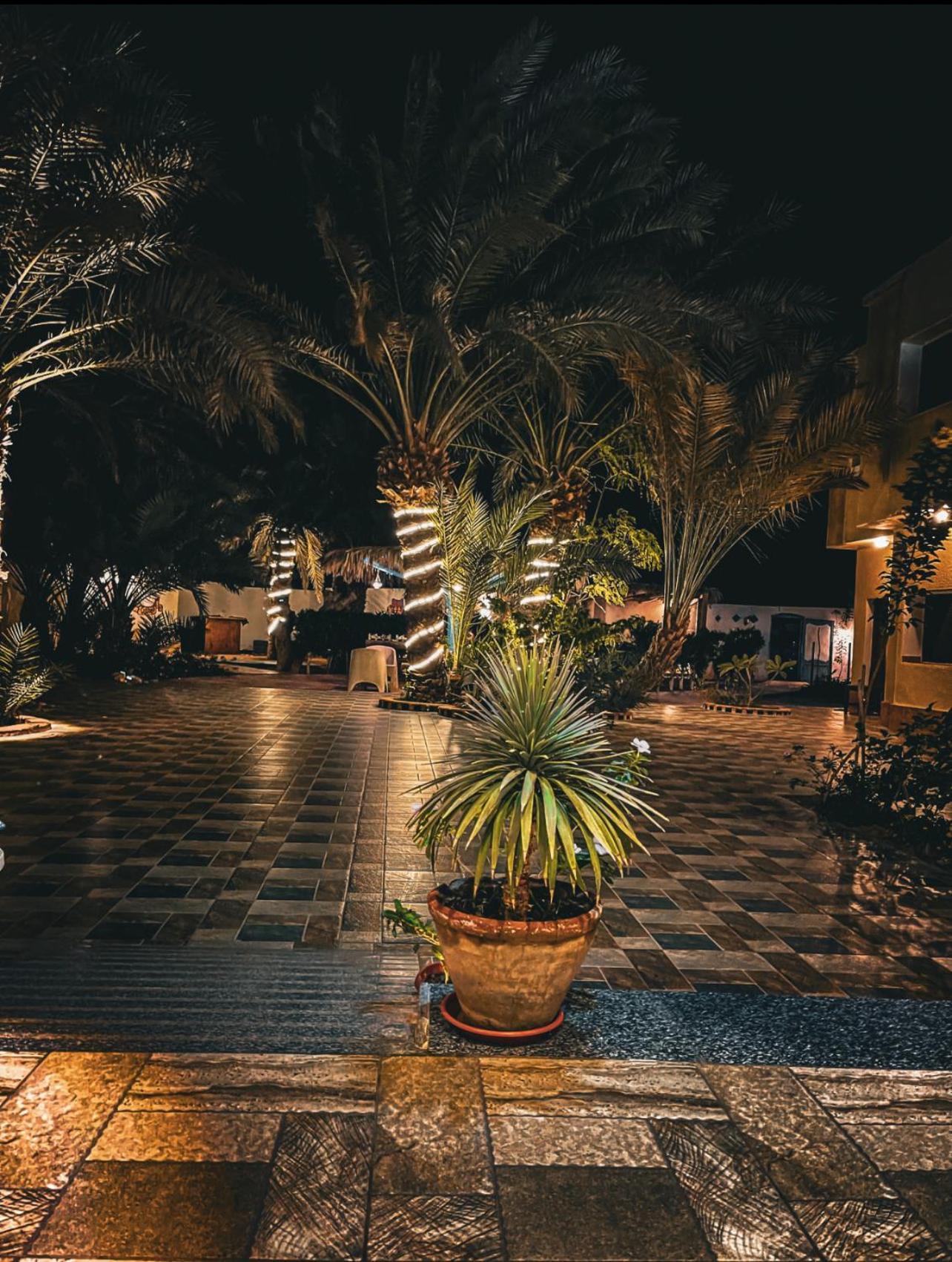 Miramar Camp Dahab Hotel Kültér fotó