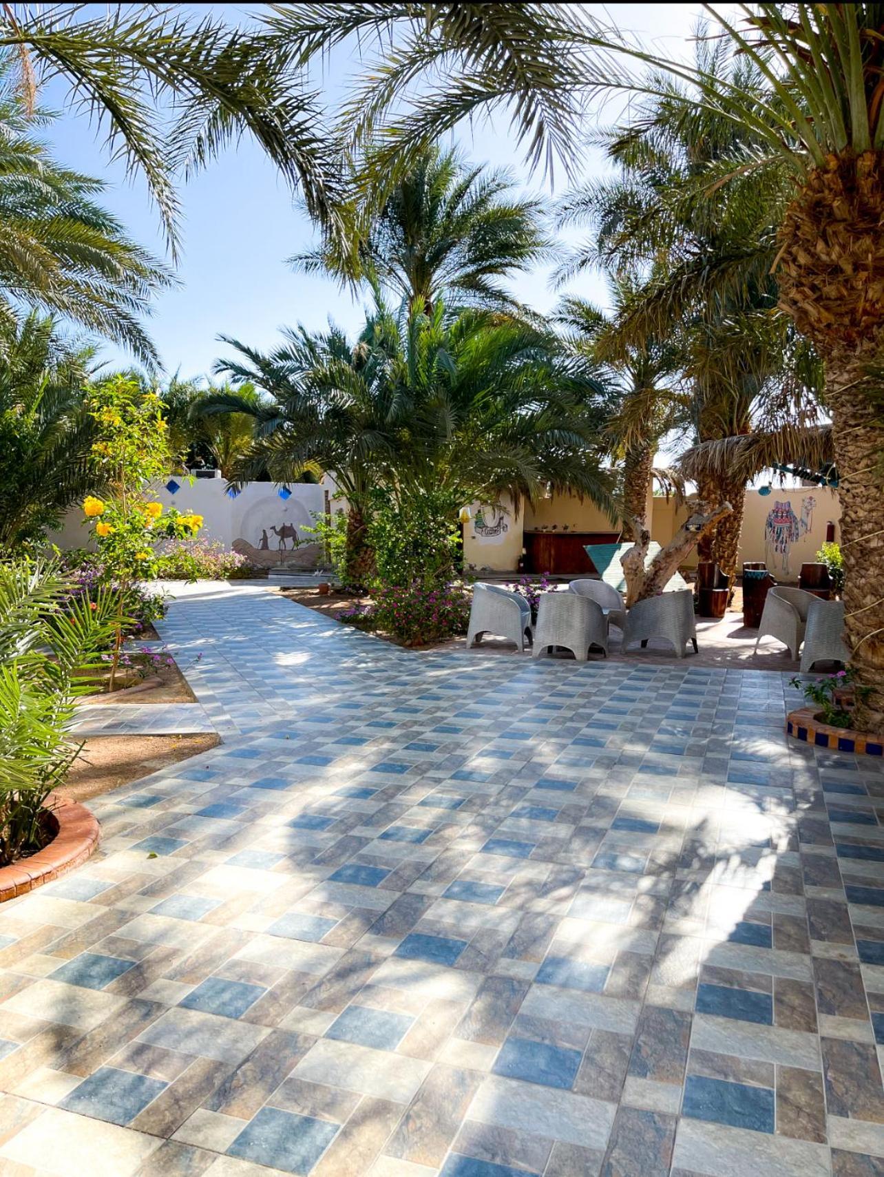 Miramar Camp Dahab Hotel Kültér fotó